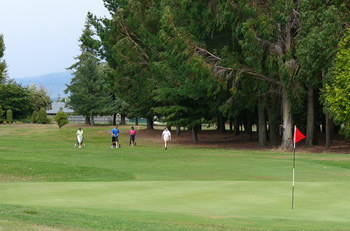 Golf accommodation, Nelson