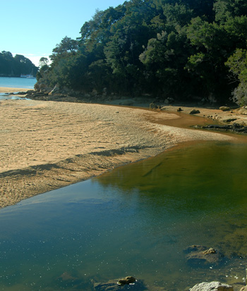 Kaiteriteri Beach, golden sands, blue gree sea, Tasman
