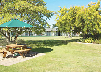 Peaceful motel gardens in Motueka